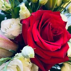 Romantic Florist Choice Bouquet