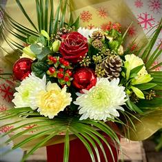 Rudolph the Red Rose!