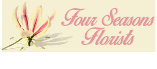 Four Seasons Florist Poulton